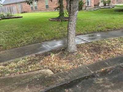 Lawn Care service in Rosharon, 77583