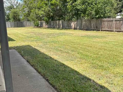 Lawn Care service in Rosenberg, 77471