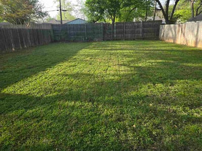 Lawn Care service in Keller, 76248