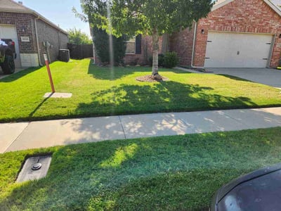 Lawn Care service in Keller, 76248