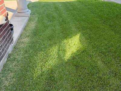 Lawn Care service in White Settlement, 76108