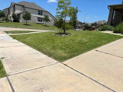 Lawn Care service in Brazoria, 77422
