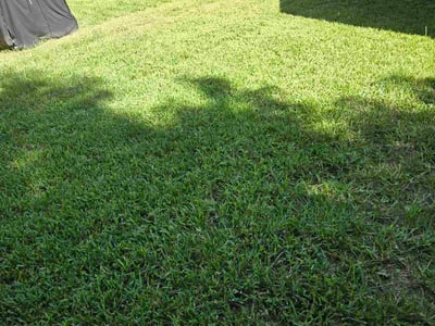 Lawn Care service in Forest Hill, 76140