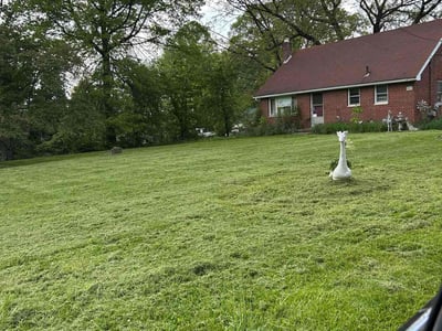 Lawn Care service in Clinton, 06413