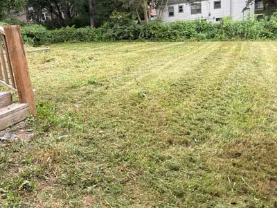 Lawn Care service in Ellington, 06029