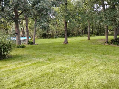 Lawn Care service in Demotte, 46310