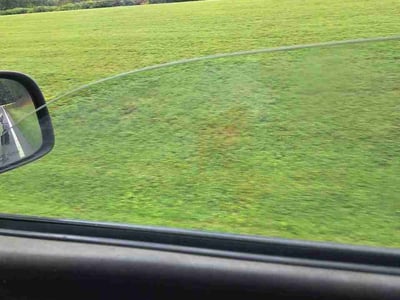 Lawn Care service in Goleta, 93117