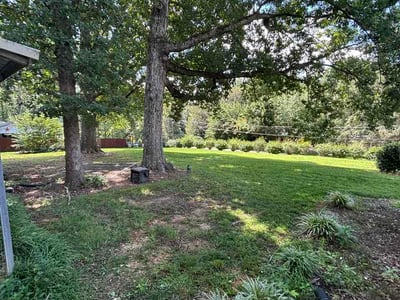Lawn Care service in Asheboro, 27203