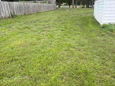 Lawn Care service in Wyoming, 49509