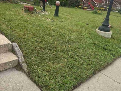 Lawn Care service in Highland, 46322