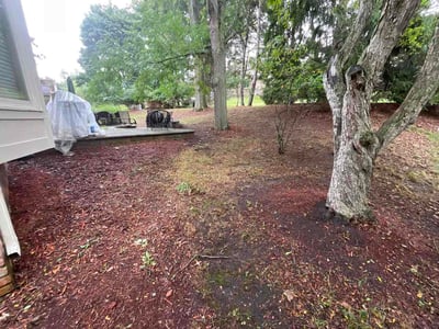 Leaf Removal service in Waterford, 48329