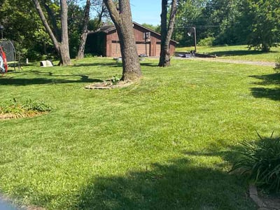 Lawn Care service in Griffith, 46319