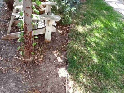 Leaf Removal service in Thornton, 80229
