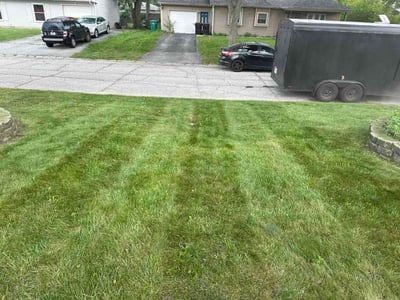 Lawn Care service in Griffith, 46319