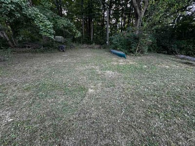 Leaf Removal service in Westfield, 46074