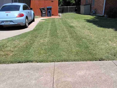 Lawn Care service in Alvarado, 76009