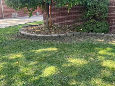 Lawn Care service in Southgate, 48195
