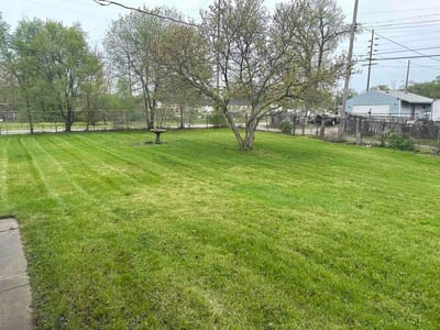 Lawn Care service in Gary, 46402