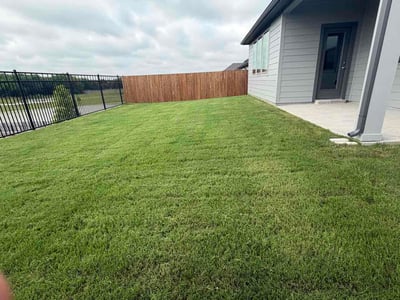 Lawn Care service in Sunnyvale, 75182