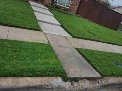 Lawn Care service in Sunnyvale, 75182