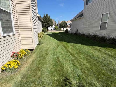 Lawn Care service in Geneva, 60134