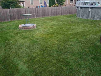 Lawn Care service in Geneva, 60134