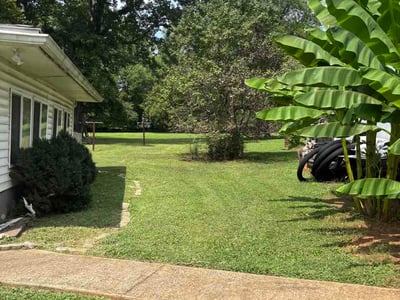 Lawn Care service in Pittsboro, 27312