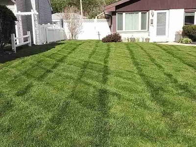 Lawn Care service in Lowell, 46356