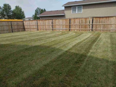 Lawn Care service in ,