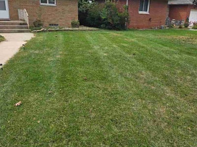 Lawn Care service in Hobart, 46342