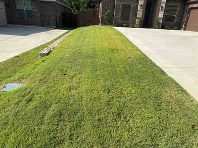 Lawn Care service in Midlothian, 76065