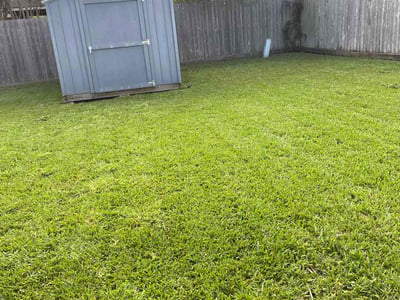 Lawn Care service in Santa Maria, 93454