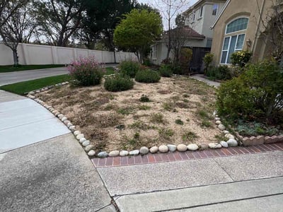 Leaf Removal service in Roseville, 95678