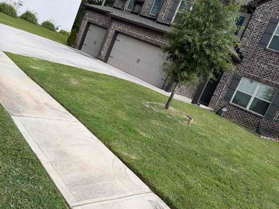 Lawn Care service in Santa Cruz, 95060