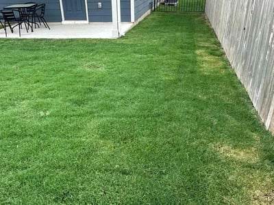 Lawn Care service in Lockhart, 78644