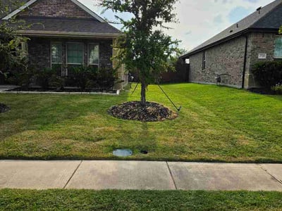 Lawn Care service in Terrell, 75160