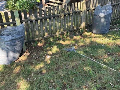 Leaf Removal service in Overland Park, 66204