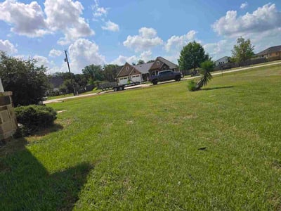 Lawn Care service in Elgin, 78621