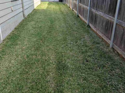 Lawn Care service in Elgin, 78621