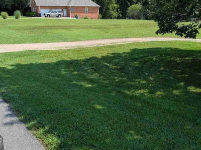 Lawn Care service in Monterey, 93940