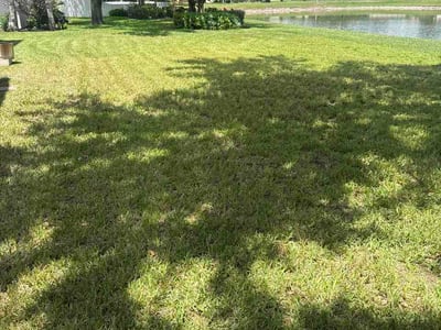 Lawn Care service in DeBary, 32713