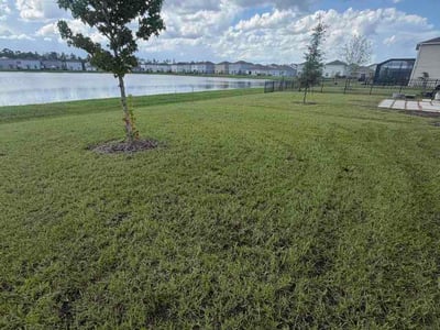 Lawn Care service in DeBary, 32713