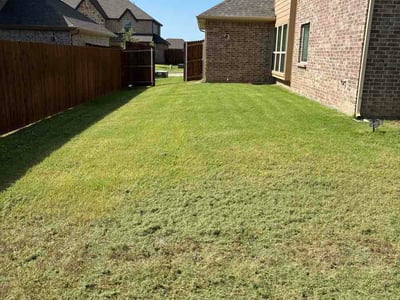 Lawn Care service in Glenn Heights, 75154