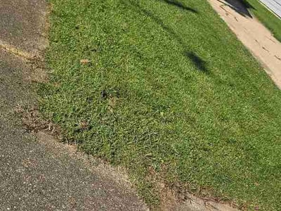 Lawn Care service in Xenia, 45385