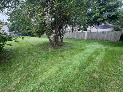 Lawn Care service in Xenia, 45385