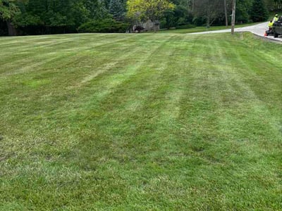 Lawn Care service in Avon Lake, 44012