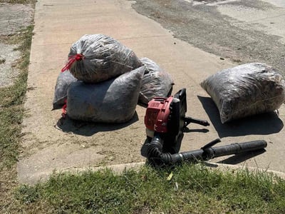 Lawn Care service in Sanger, 76266