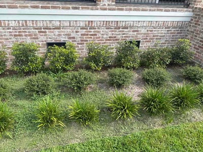 Lawn Care service in Portland, 78374