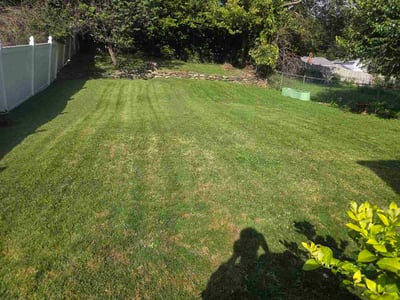 Lawn Care service in Independence, 41051