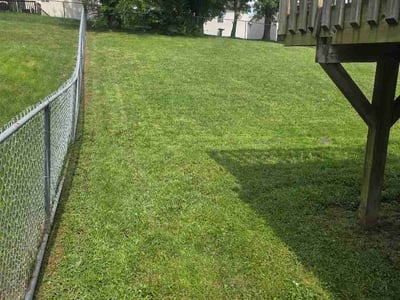 Lawn Care service in Independence, 41051